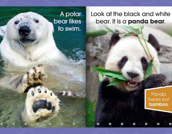 a polar bear swimming and a panda eating leaves on pages of a book