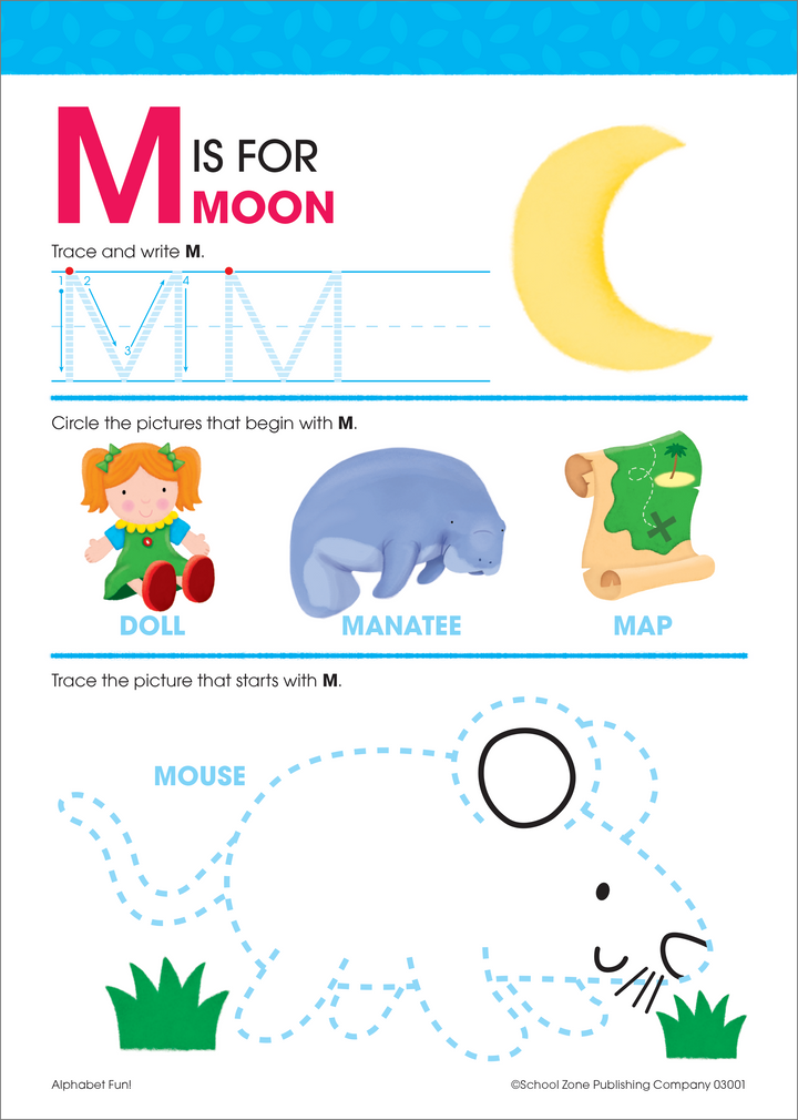 Alphabet Fun! Write & Reuse Workbook