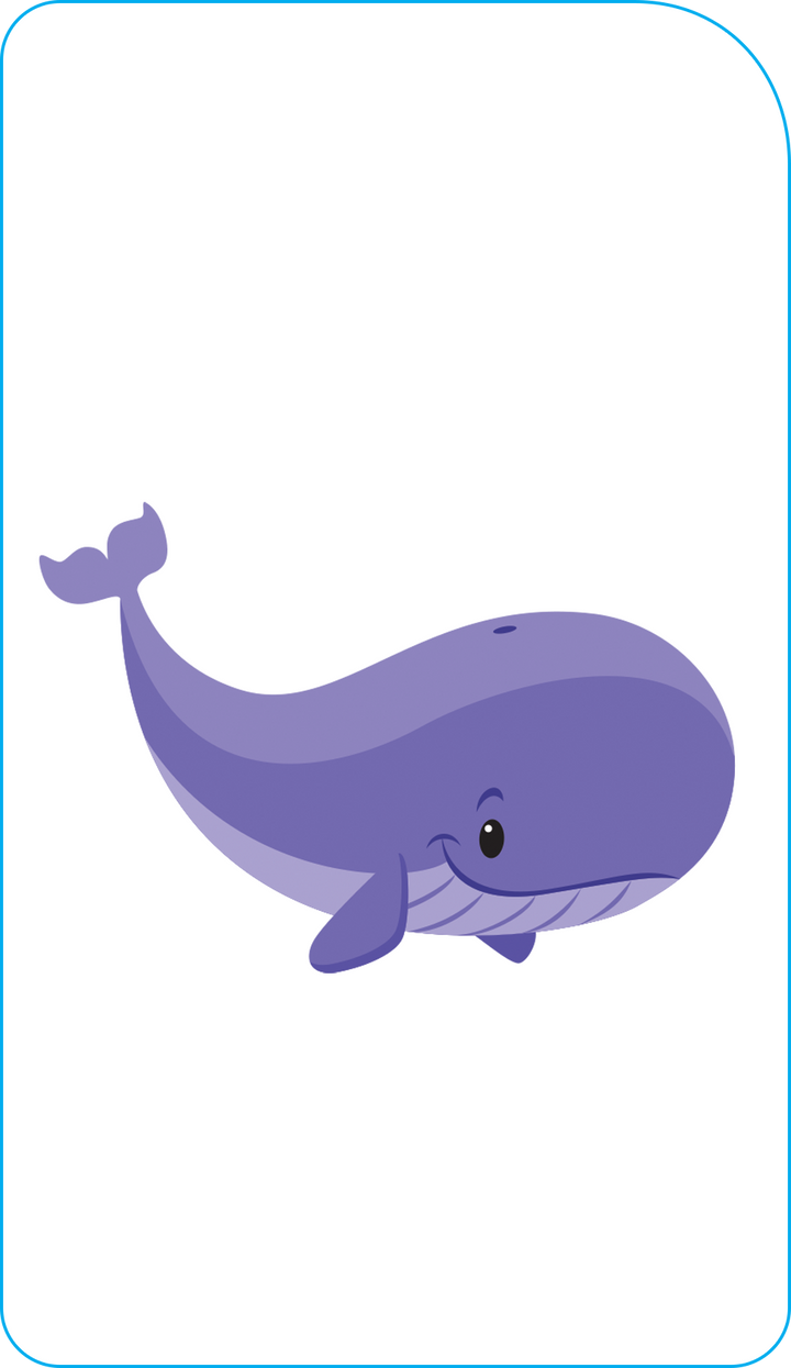 Cute illustrations help kids focus on Numbers 0-25 Flash Cards.