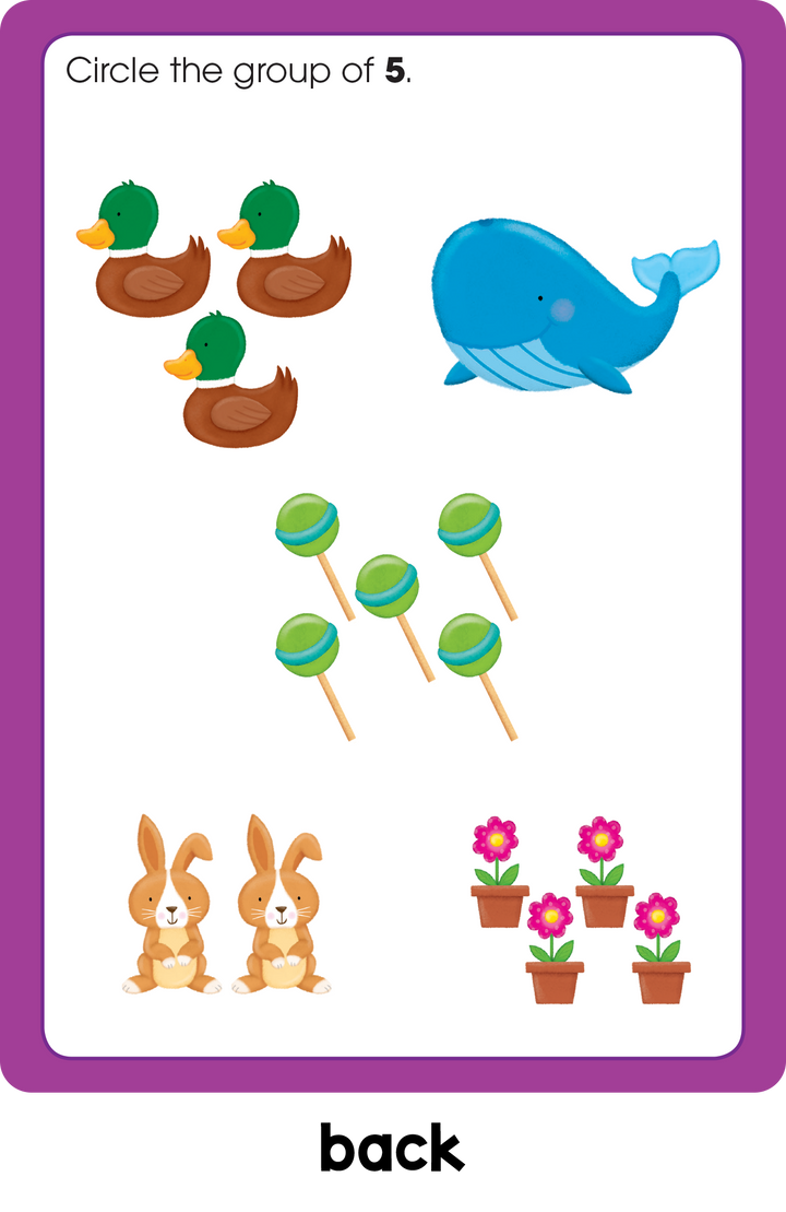 Preschool Write & Reuse Learning Cards