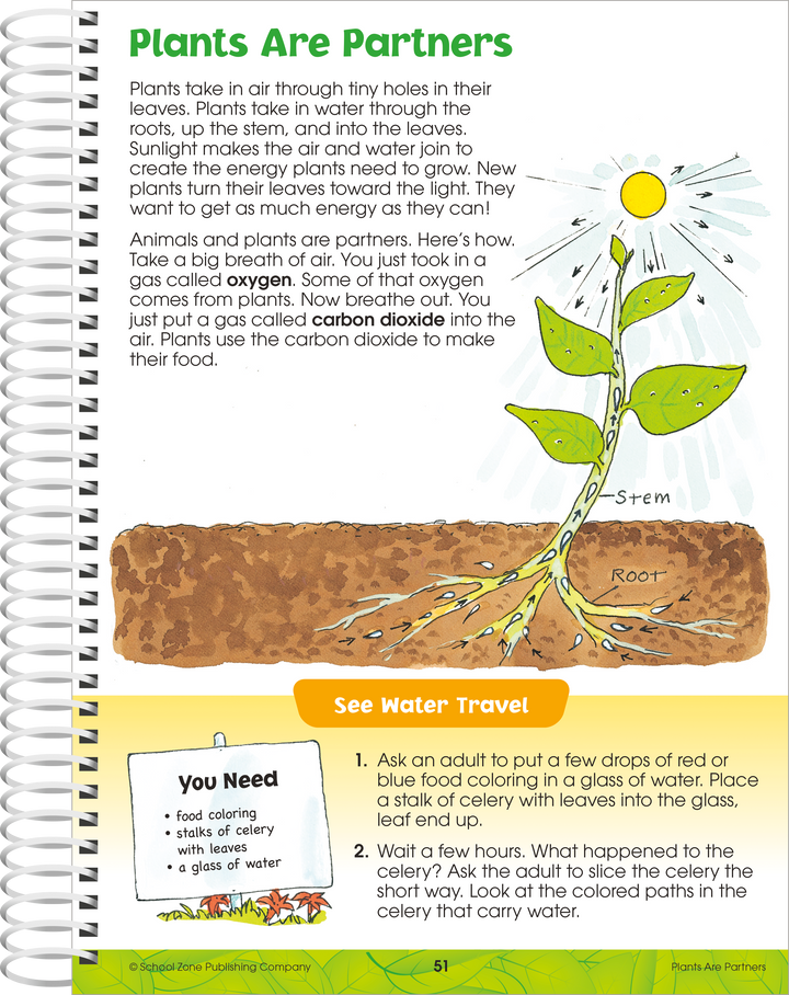 Kids will discover add-on activities that extend the lessons in this Big Science 2-3 Workbook.