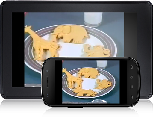 plate of large animal crackers: elephant, giraffe, lion, and monkey