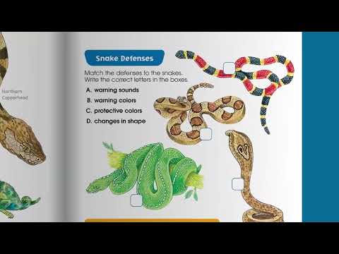 Big Science Workbook Grades 2-3 – School Zone Publishing Company
