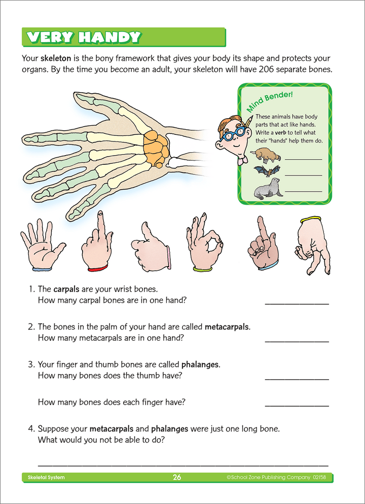 Third Grade Scholar Workbook will test your child’s powers of reasoning and ingenuity.