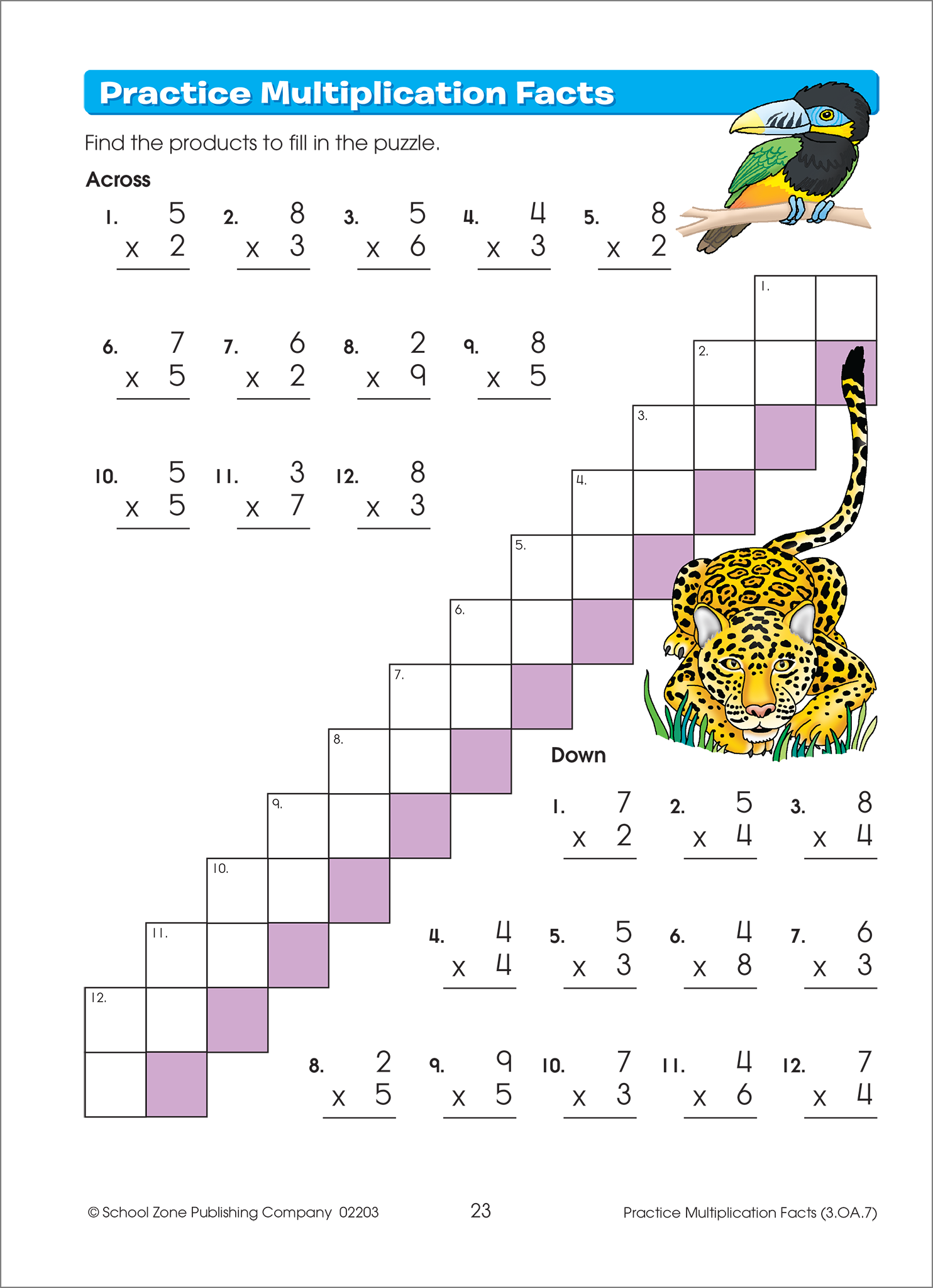 Math Basics Grade 3 Workbook – School Zone Publishing Company