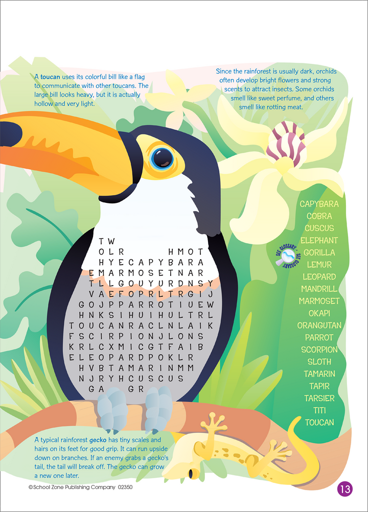 Colorful strategies in Word Searches Deluxe Edition Activity Zone Workbook keep things interesting.