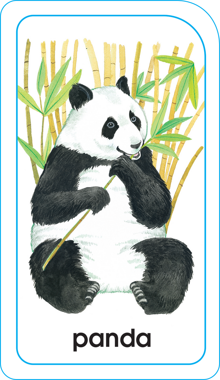 Animals of All Kinds Flash Cards have beautiful illustrations.