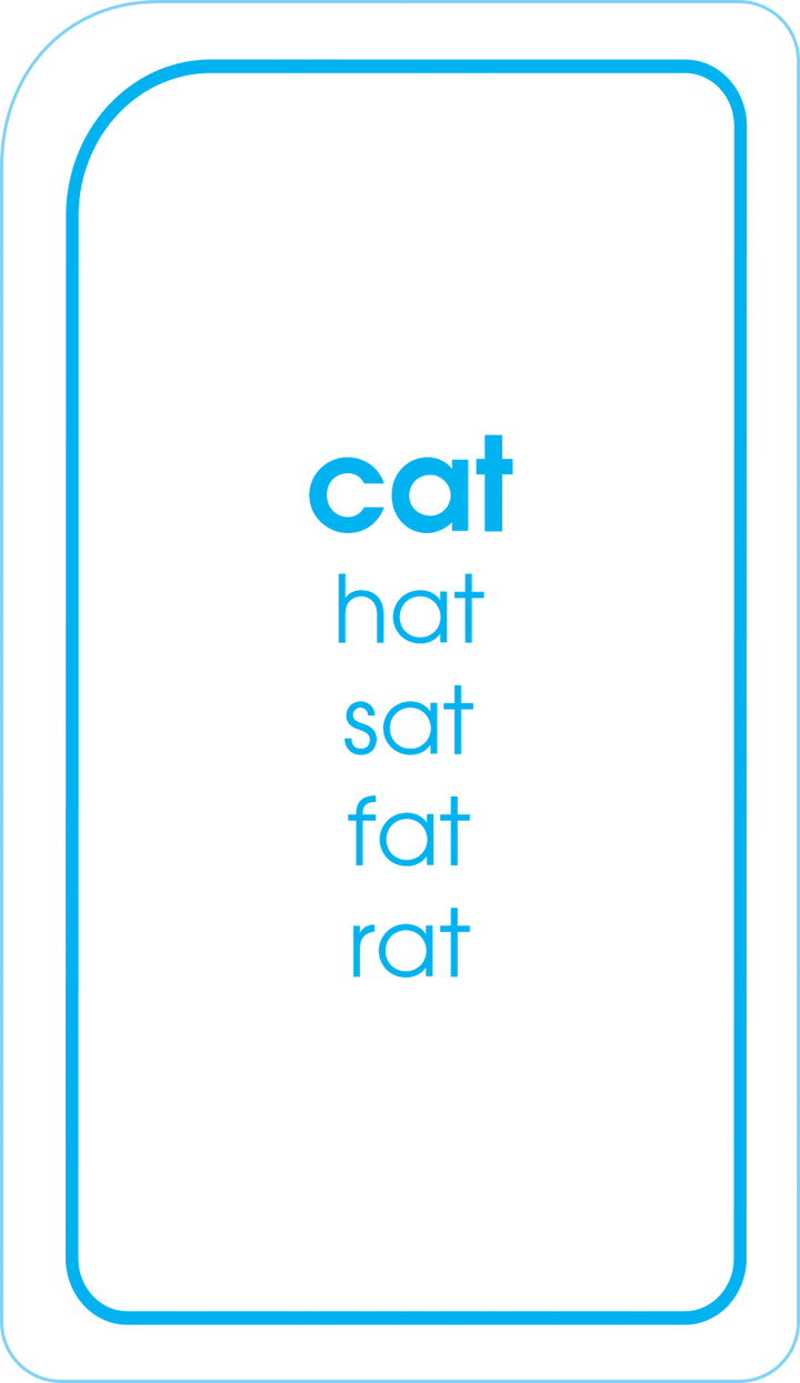Adorable illustrations in Word Families Flash Cards help kids focus.