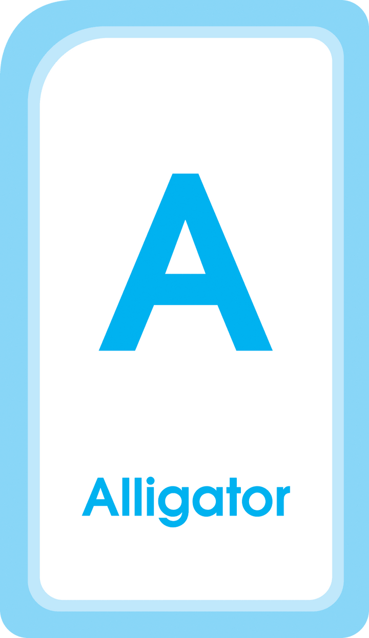 Alphabet Match Flash Cards pull together words, pictures, and letters.