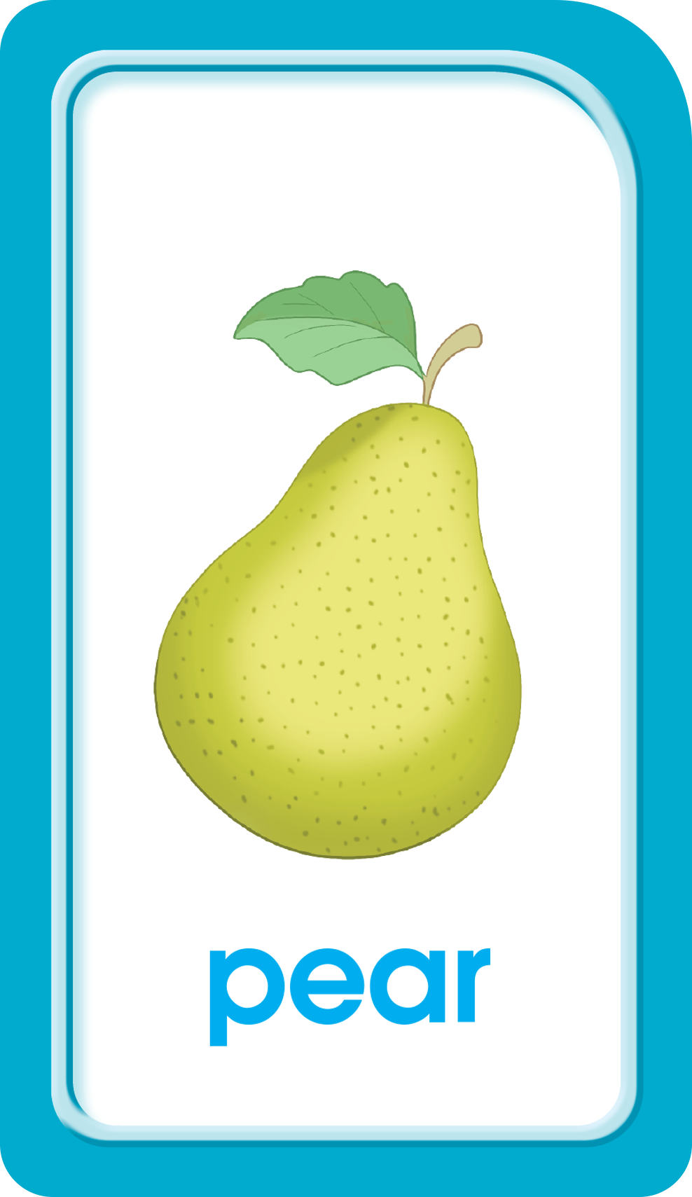 Picture Words Flashcards – School Zone Publishing Company