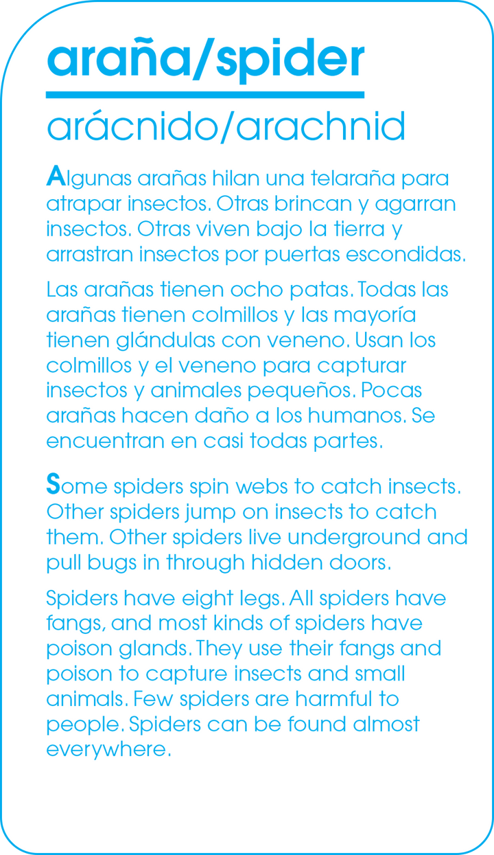 Kids will love quizzing family and friends with Bilingual Animals of All Kinds Flash Cards.