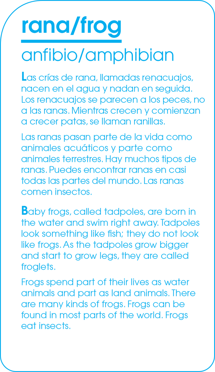 Bilingual Animals of All Kinds Flash Cards teaches interesting facts, too!