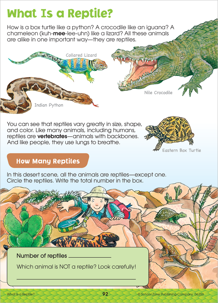 Reptiles are just a few of the creatures featured in this Big Science 2-3 Workbook.