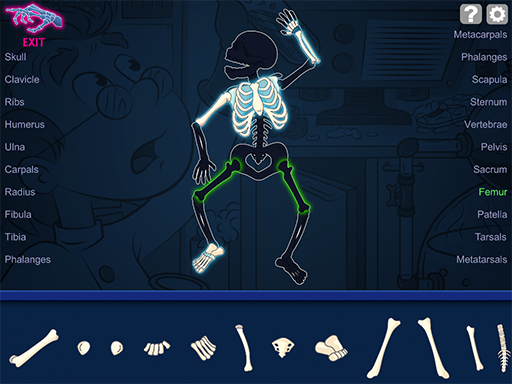 Napoleon Bone Apart (Windows Download) names and connects bones of the skeleton.