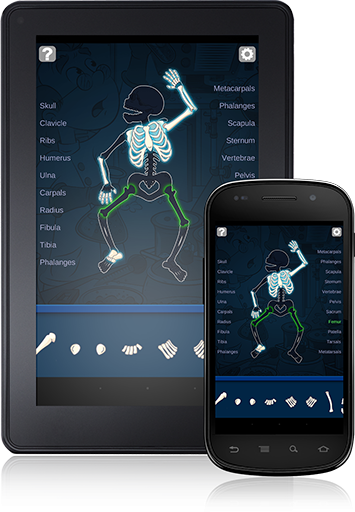 Napoleon Bone Apart (Android App) names and connects bones of the skeleton.